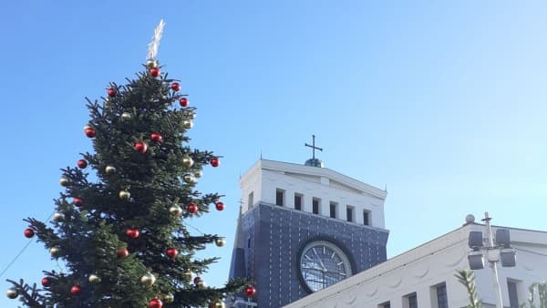 260333419 4881459228551753 6565884223159837506 n (2)